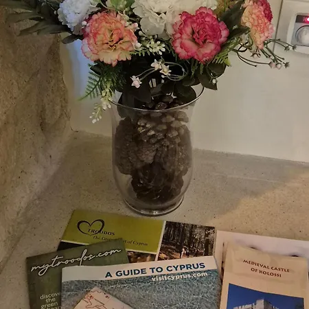 Vouno Case de vacanță *