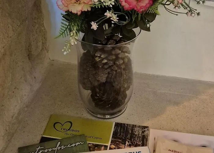 Vouno Vakantiehuis *